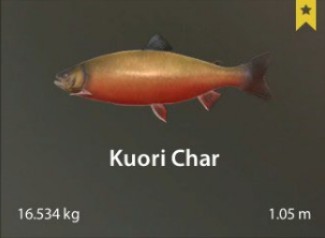 Kuori Lake Russian Fishing 4 : Russian Fishing 4 ) Kuori Char 13.7kg Trolling Catch - YouTube : Russian fishing 4 is a fishing simulator.