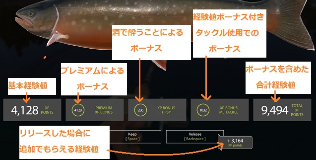 RF4釣ったときの経験値画面解説2.jpg