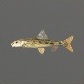 Baits_Baitfish_Gudgeon_S.jpg