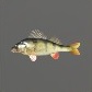 Baits_Baitfish_Perch_S.jpg