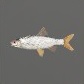 Baits_Baitfish_Roach_S.jpg