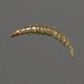 Baits_Larvae_Caddisfly_S.jpg