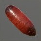 Baits_Larvae_Cater_S.jpg
