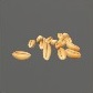Baits_Natural_Wheat seeds_S.jpg
