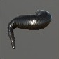 Baits_Worms_Leech_S.jpg