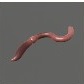 Baits_Worms_Worm_S.jpg