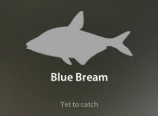 Blue Bream仮.jpg