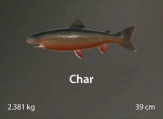 Char.jpg