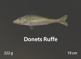 Donets Ruffe.jpg