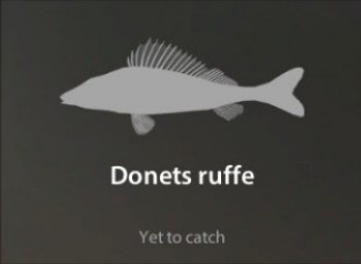 Donets ruffe仮.jpg