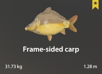 Frame Sided Carp Russian Fishing 4 日本語 Wiki