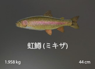 Kamchatkan Rainbow Trout.jpg