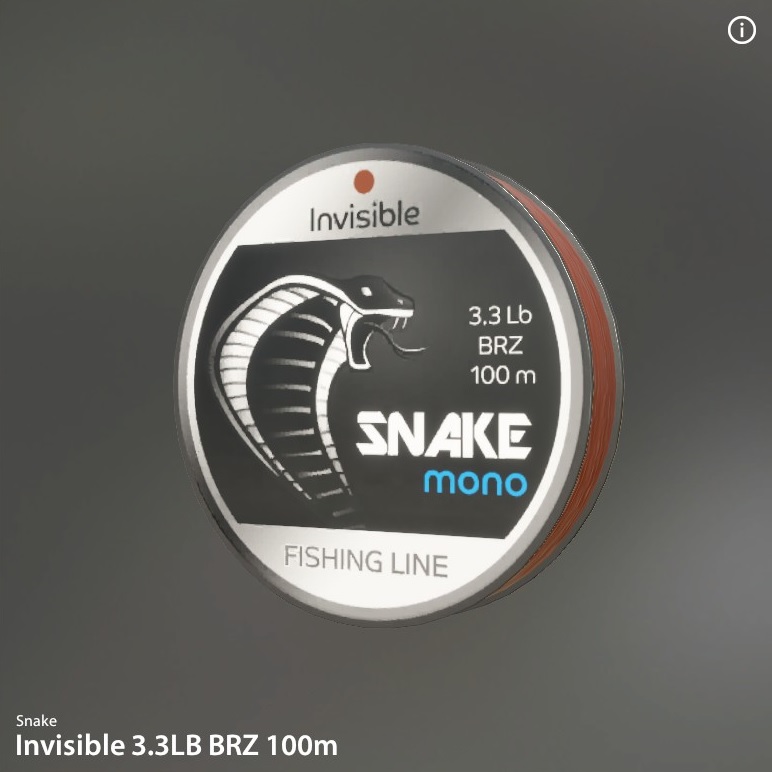 Invisible 100 m BRZ.jpg
