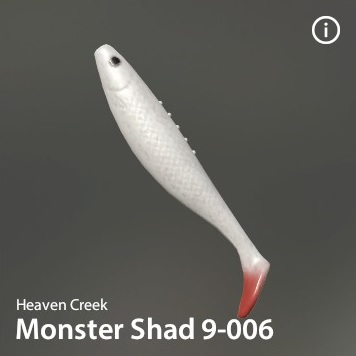 Monster Shad 9-006.jpg