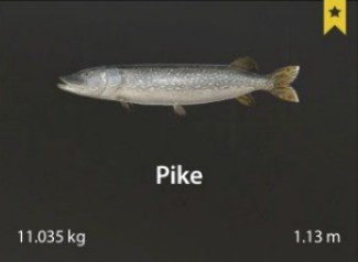 Pike.jpg