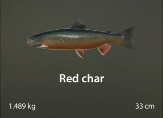 Red char.jpg