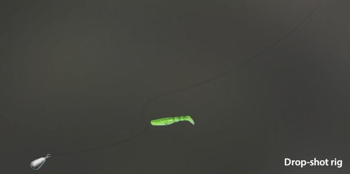 Drop-shot rig.jpg