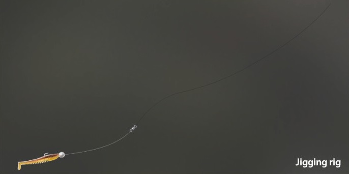 Jigging rig.jpg
