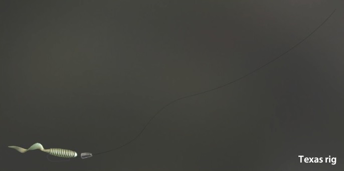 Texas rig.jpg