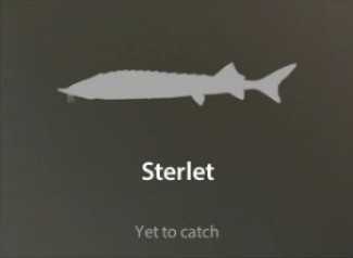 Sterlet仮.jpg
