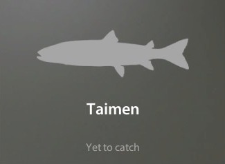 Taimen仮.jpg