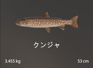 Whitespotted Char.jpg