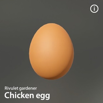Chicken egg.jpg