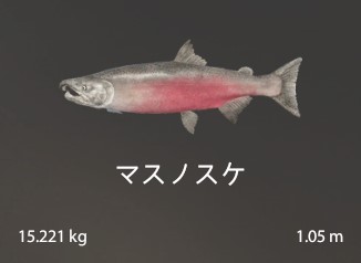 Chinook Salmon.jpg