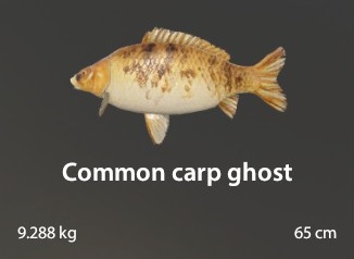 Common Carp Ghost.jpg