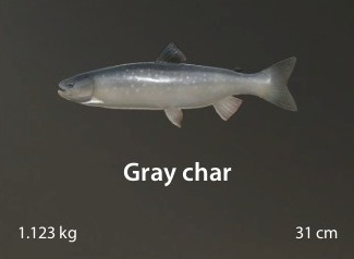 Gray char.jpg