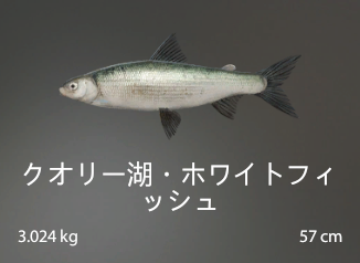 Kuori whitefish.png