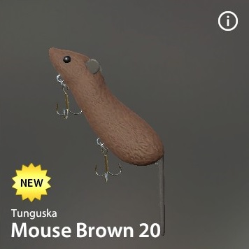 Mouse Brown 20.jpg
