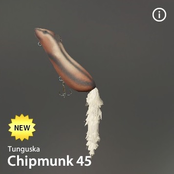 Chipmunk 45.jpg