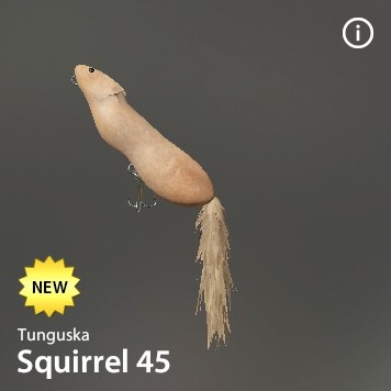 Squirrel 45.jpg