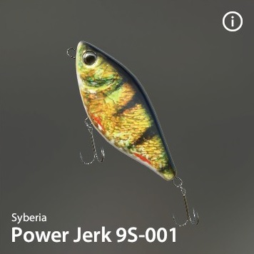 Power Jerk 9S-001.jpg