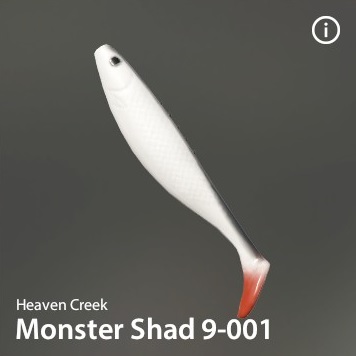 Monster Shad 9-001.jpg