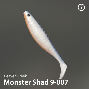 Monster Shad 9-007.jpg