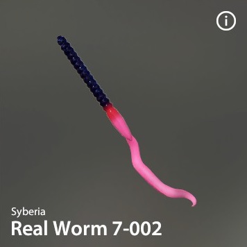 Real Worm 7-002.jpg