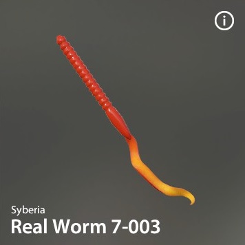 Real Worm 7-003.jpg