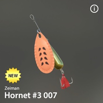 Hornet #3 007.jpg