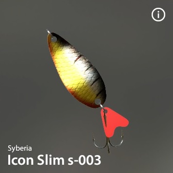 Icon Slim s-003.jpg