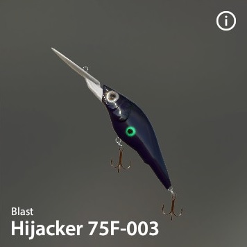 Hijacker 75F-003.jpg