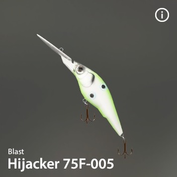 Hijacker 75F-005.jpg