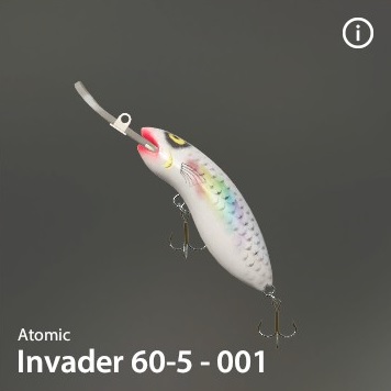 Invader 60-5-001.jpg