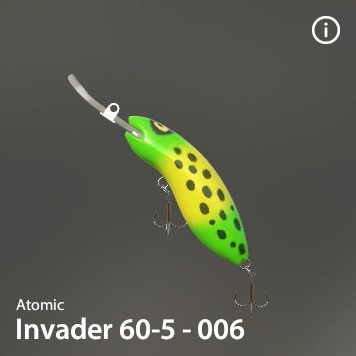 Invader 60-5-006.jpg
