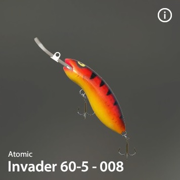 Invader 60-5-008.jpg
