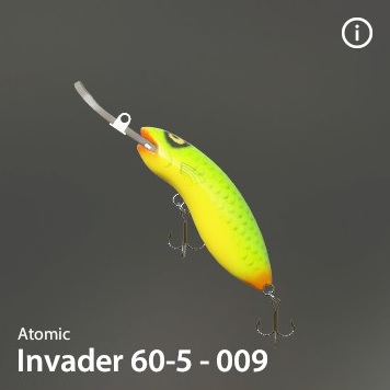 Invader 60-5-009.jpg
