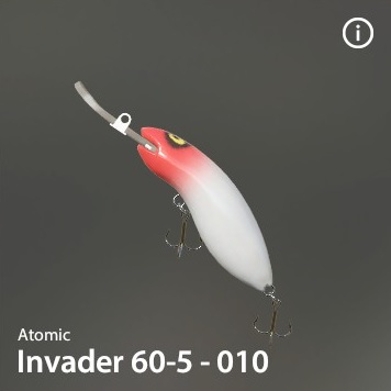 Invader 60-5-010.jpg