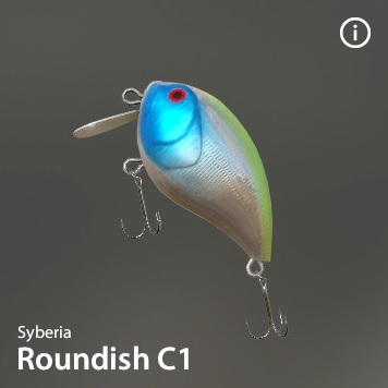 Roundish-C1.jpg