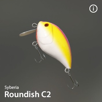 Roundish-C2.jpg